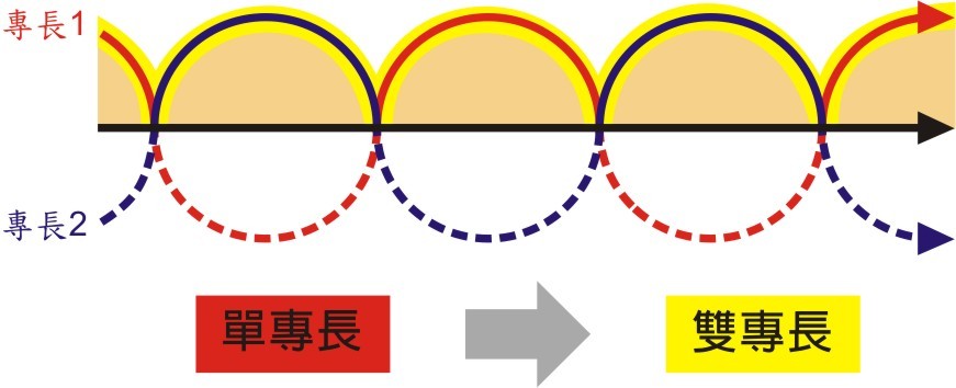 雙專長的全面性